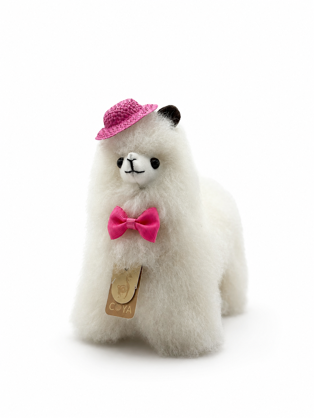 Alpaca Hat & Bow Set