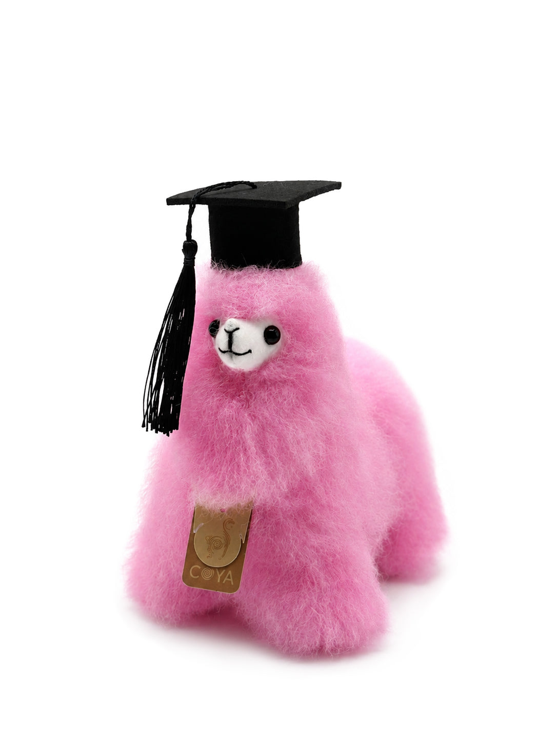 COYA Graduate