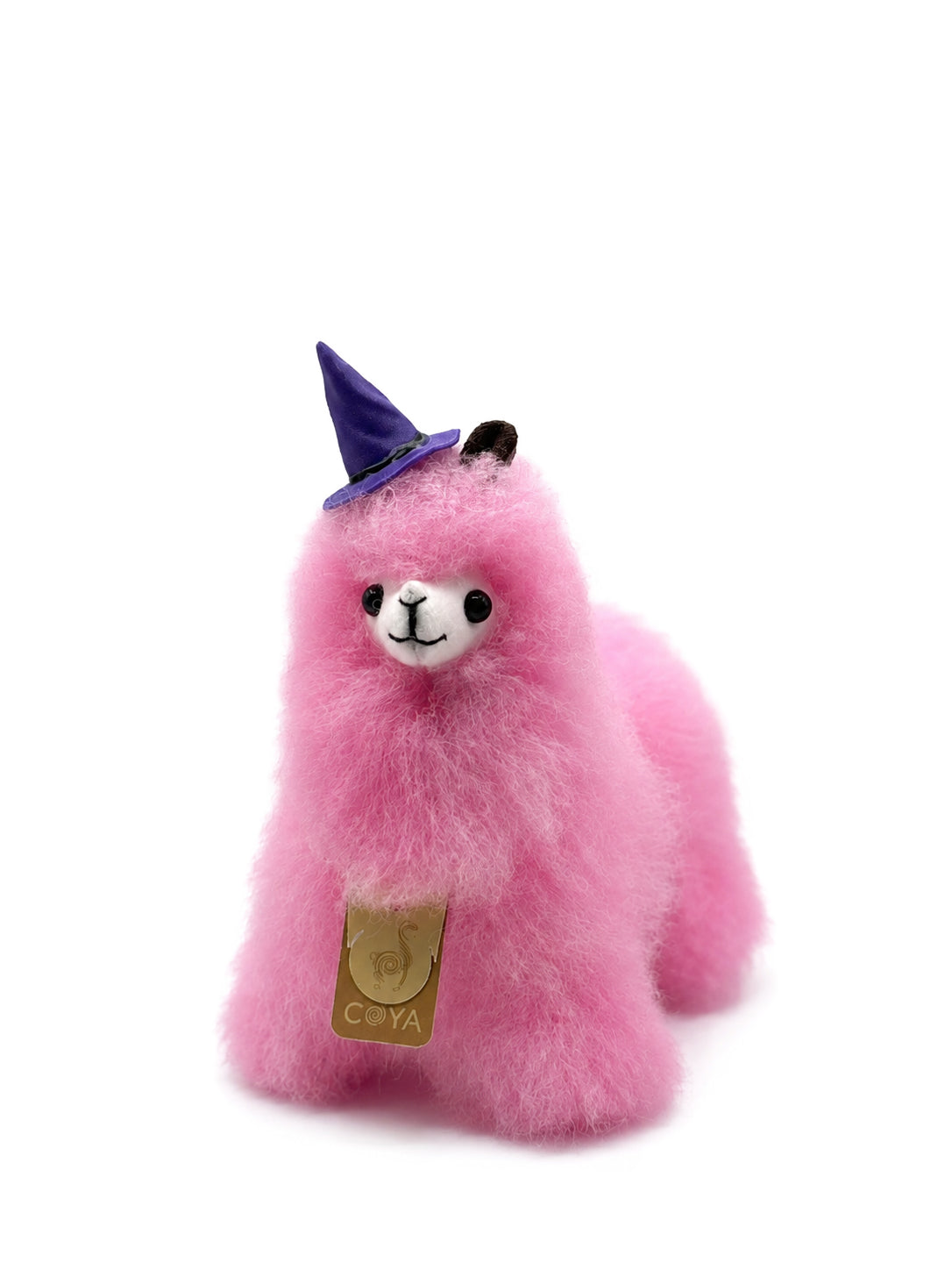 COYA Witch Hat