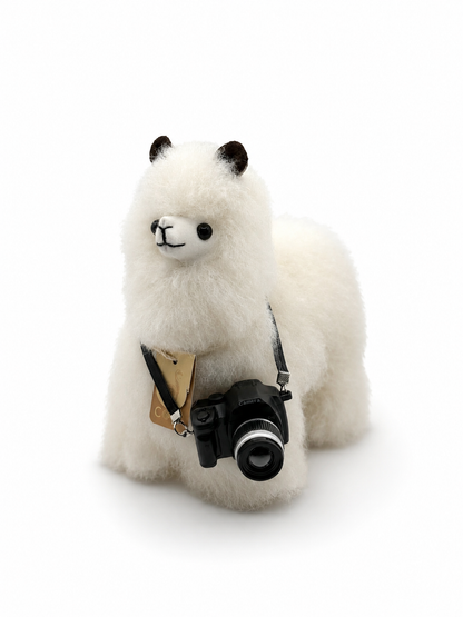 COYA Camera